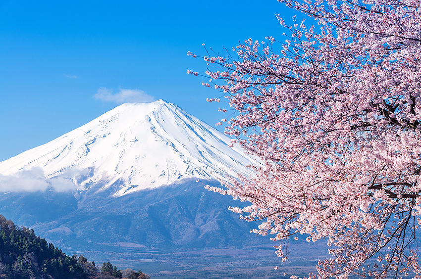 静岡県の一番高い山頂